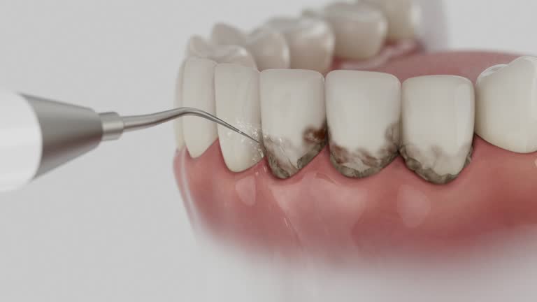 Reliable Dental contractor in Montclair, VA by Dentist Open Now